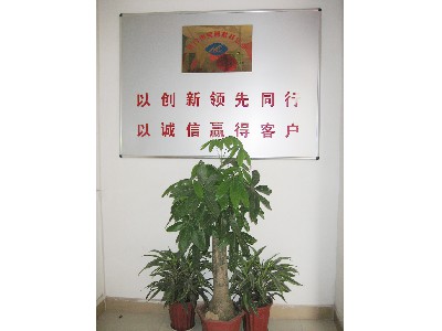 公司环境